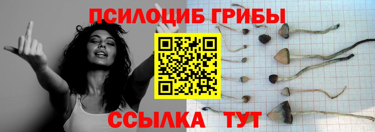 Галлюциногенные грибы Cubensis  Галлюциногенные грибы Magic Shrooms  Лыткарино  Вход с VPN 